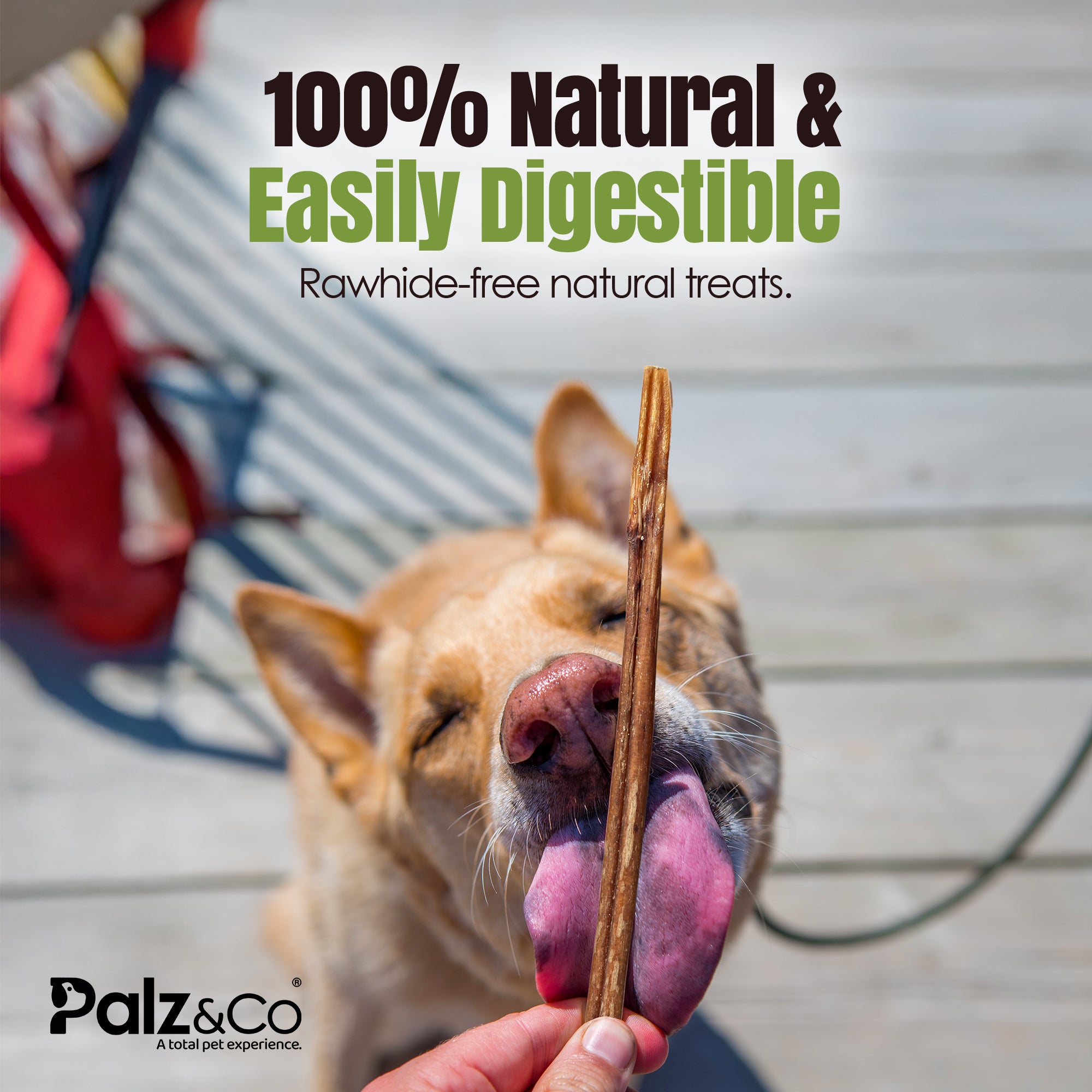 Moodog Beef Standard Bully Sticks 6" & 12" - Pack of 25