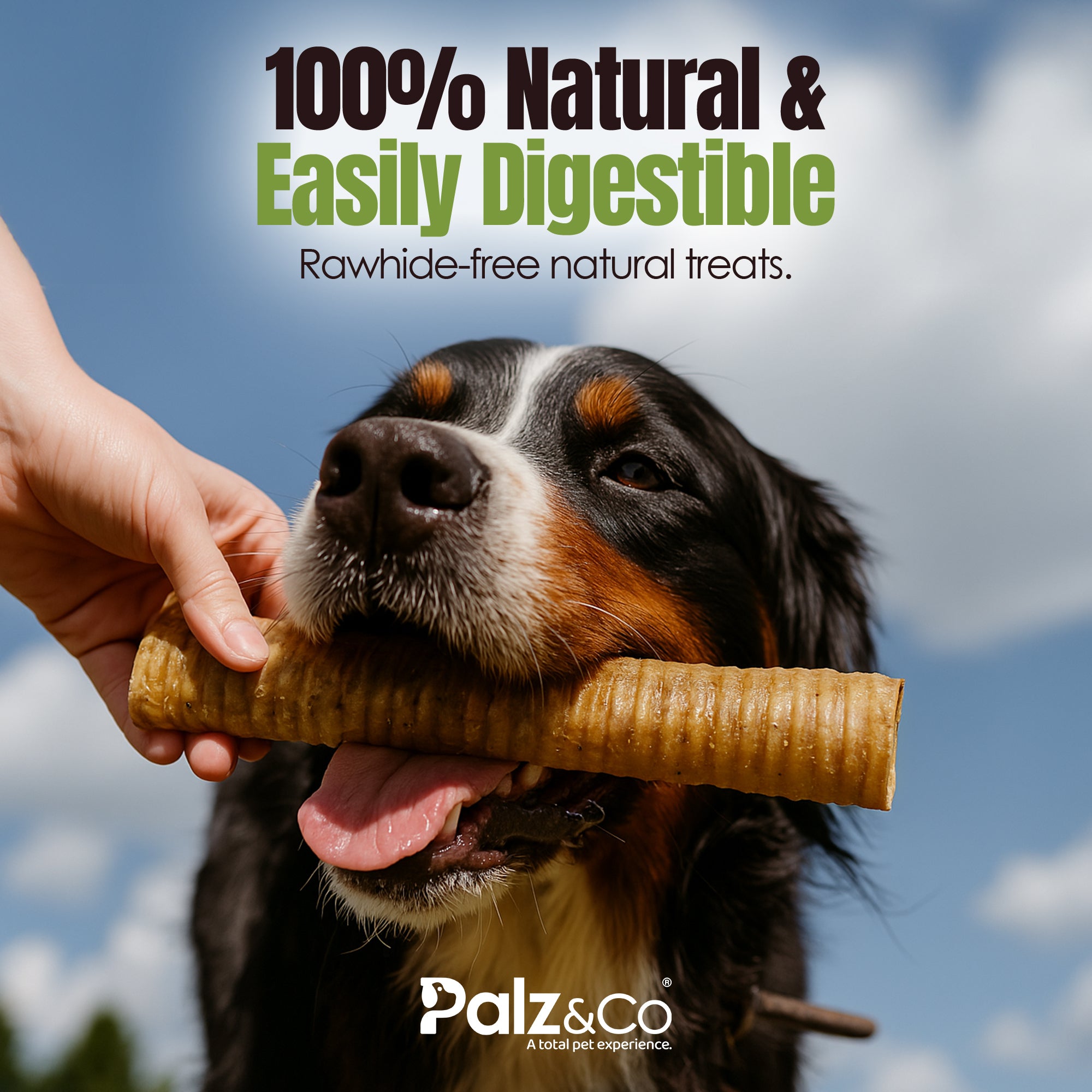 Moodog Beef Trachea Tubes - Pack of 2