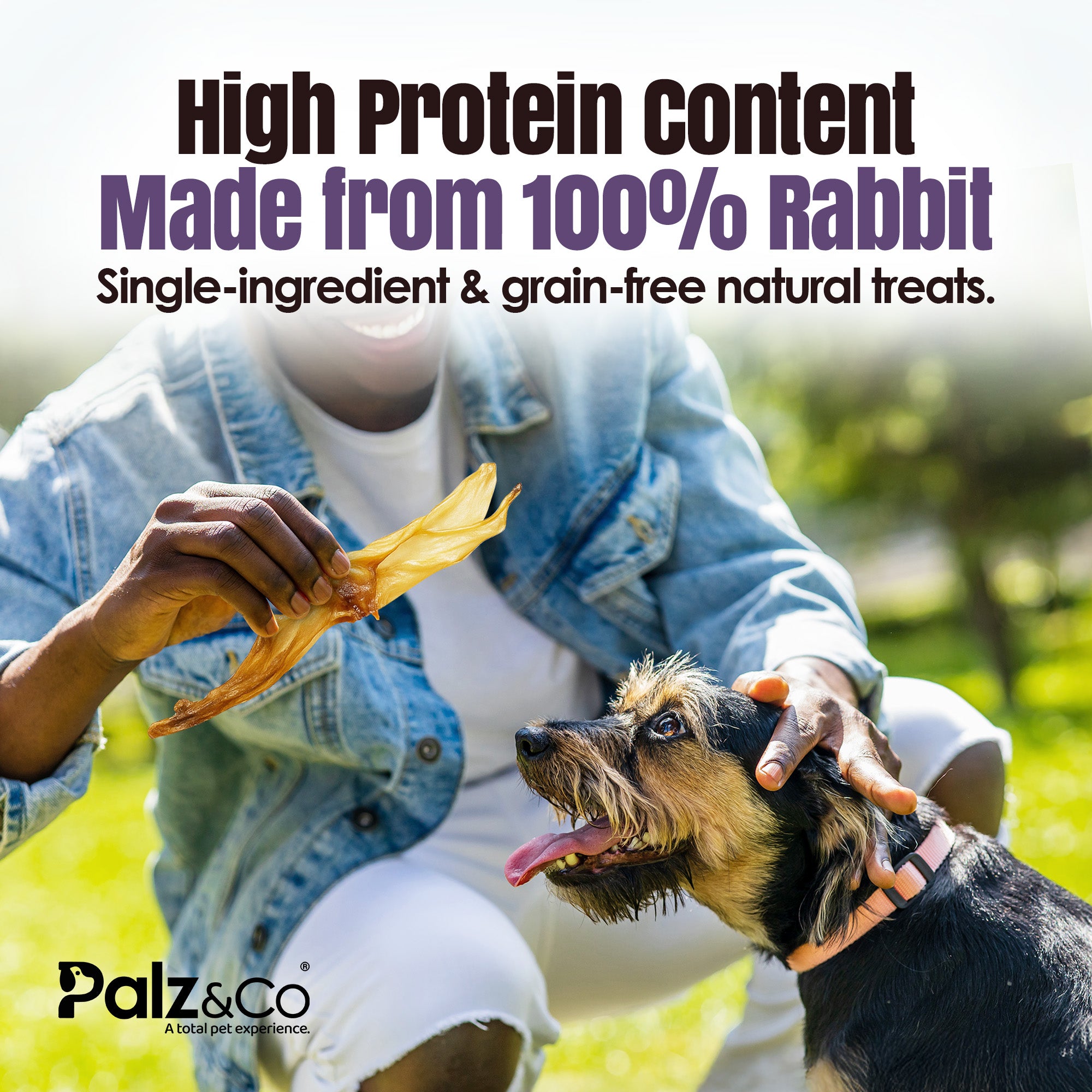 Rabbitdog Rabbit Ears (Without Fur) - Pack of 10, 15, & 25