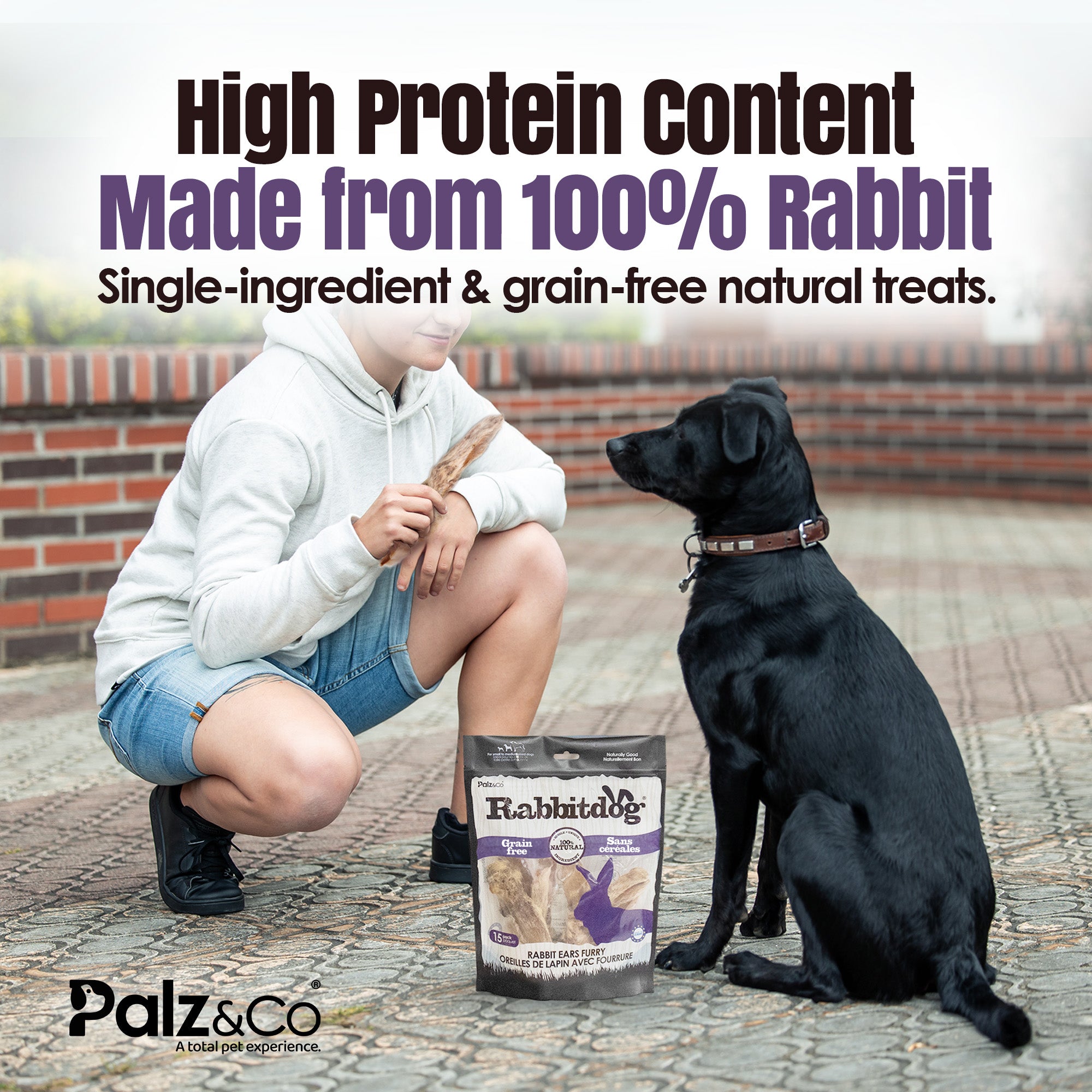 Rabbitdog Rabbit Ears (With Fur) - Pack of 10, 15, & 25