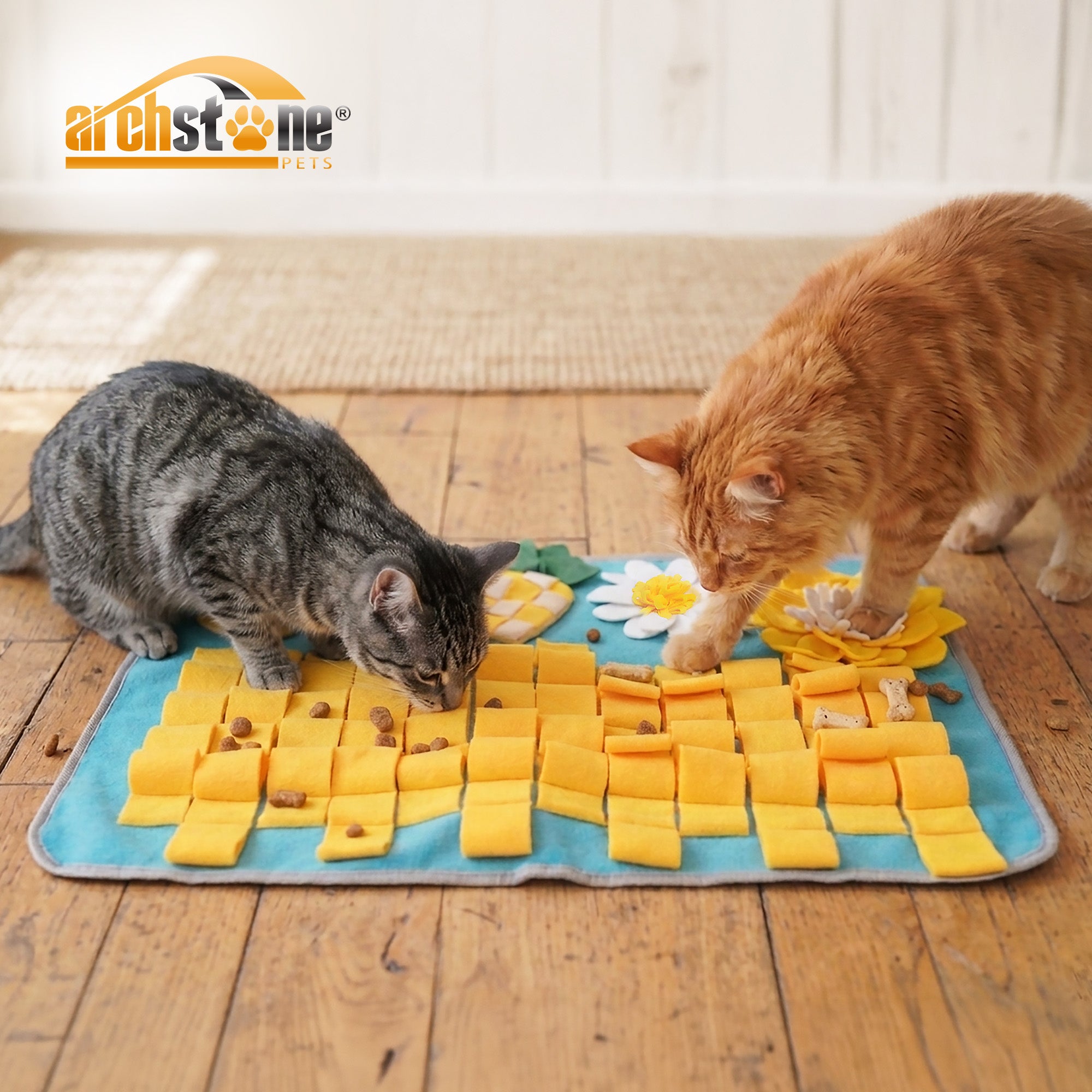 Archstone Pets - Pineapple Snuffle Mat