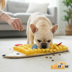 Archstone Pets - Porcupine Snuffle Mat