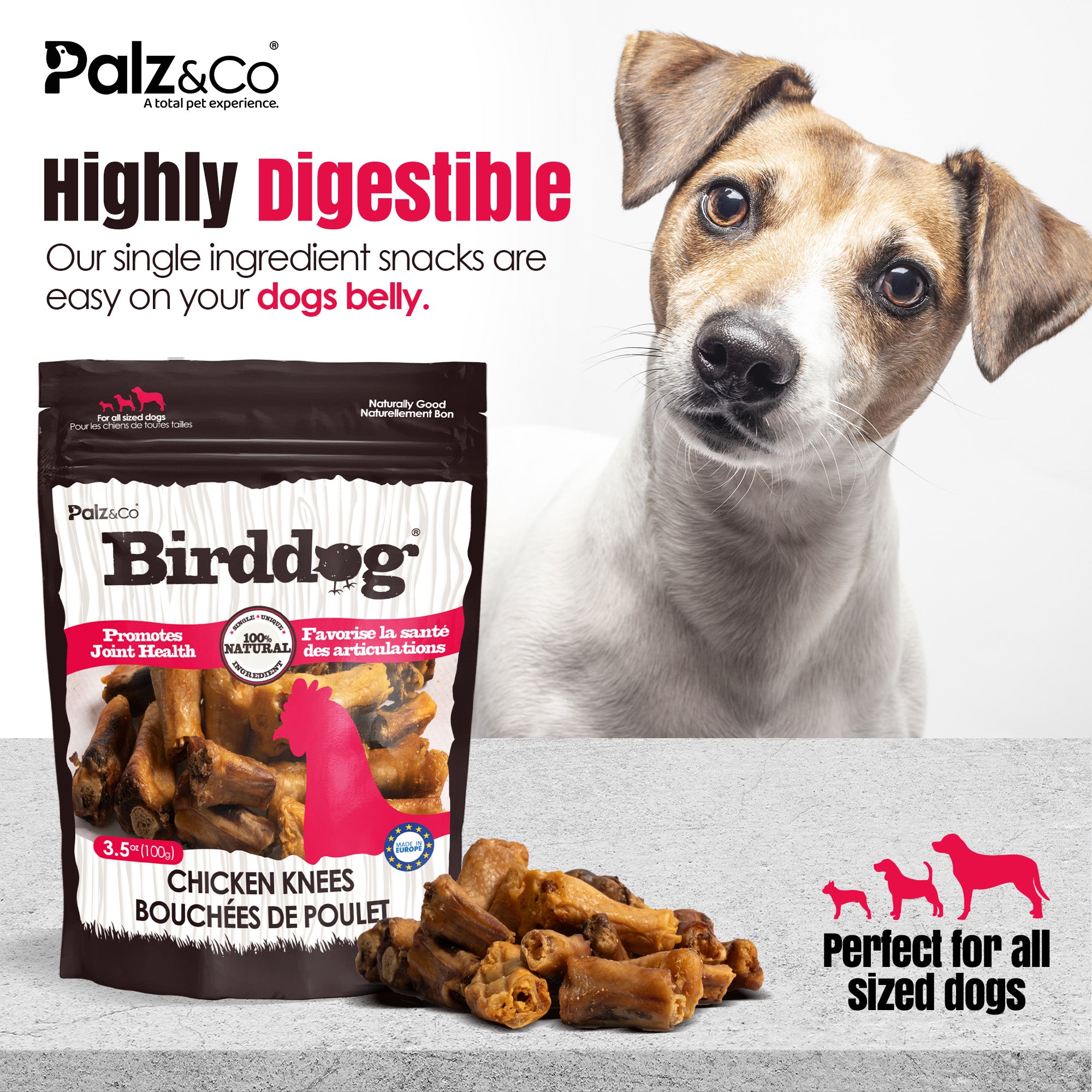 Birddog Chicken Knees - 3.5 oz (100g)