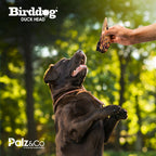 Birddog Duck Head - Pack of 20