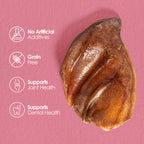 Hogdog Pig Large Ears - Pack of 100