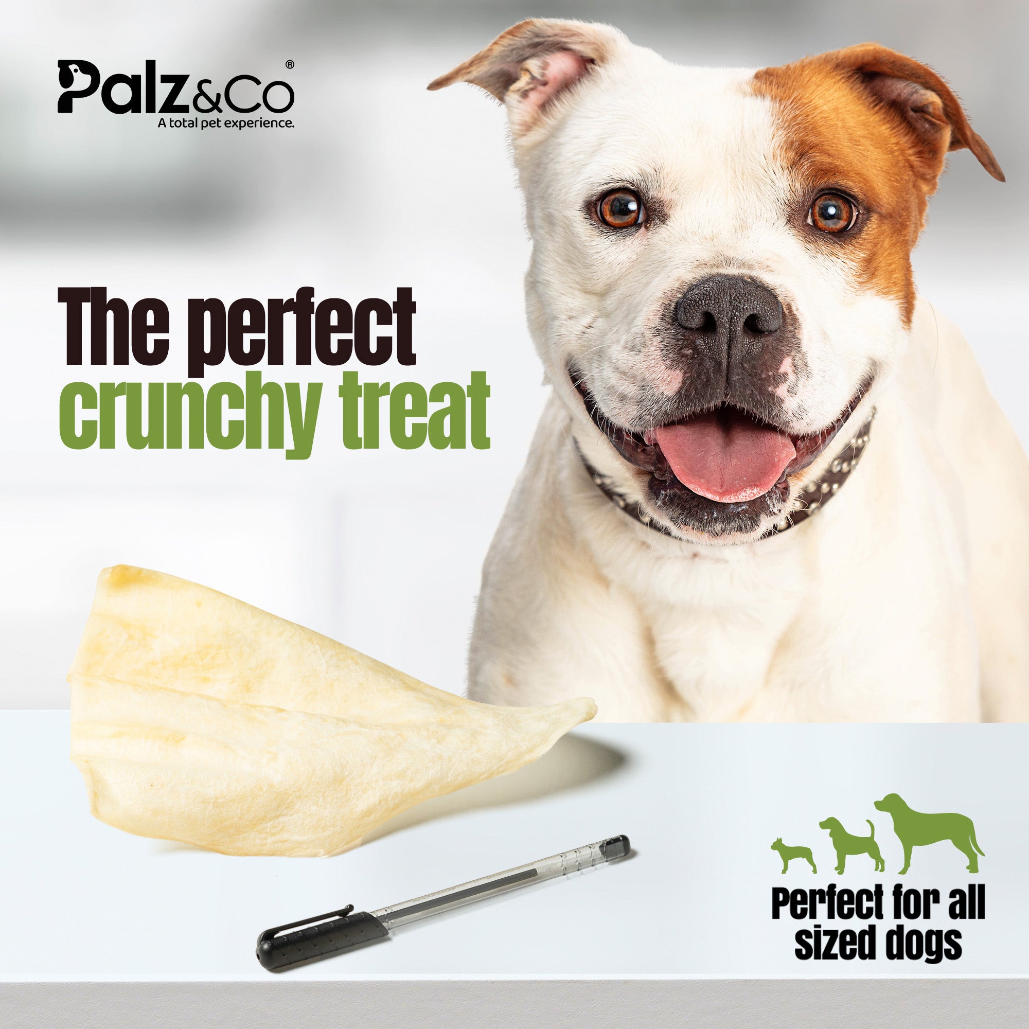 Moodog Beef Jumbo Cow Ears - Pack of 40