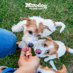 Moodog Beef Protein Puffs