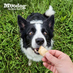 Moodog Beef Protein Puffs