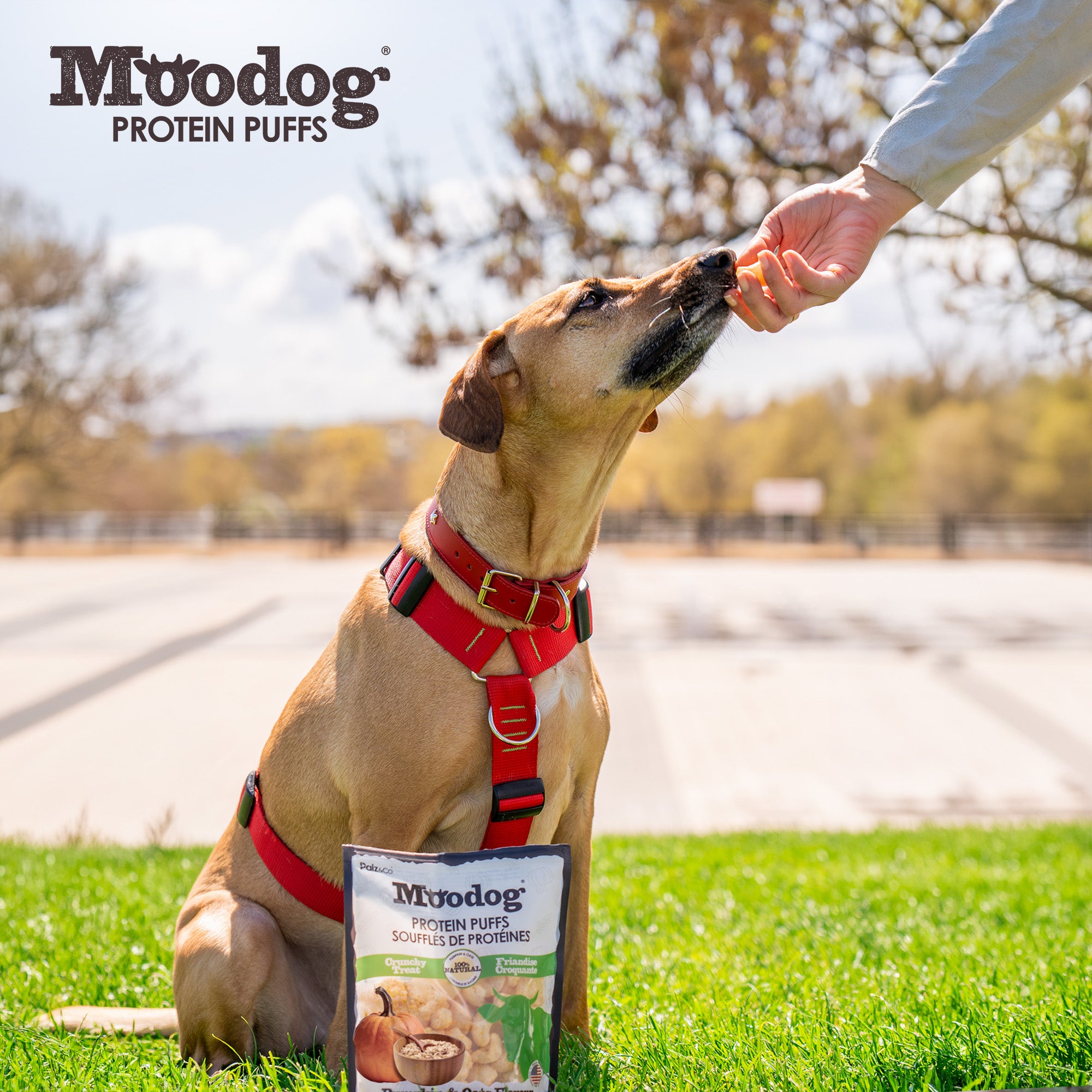 Moodog Beef Protein Puffs