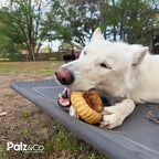 Moodog Trachea Donut - Pack of 1