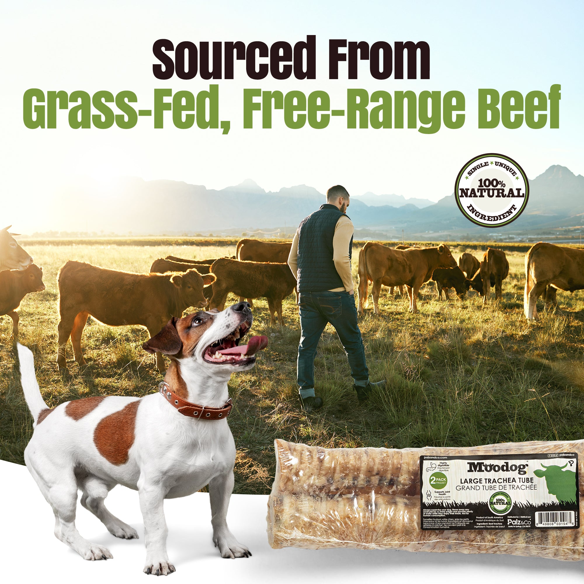 Moodog Beef Trachea Tubes - Pack of 2