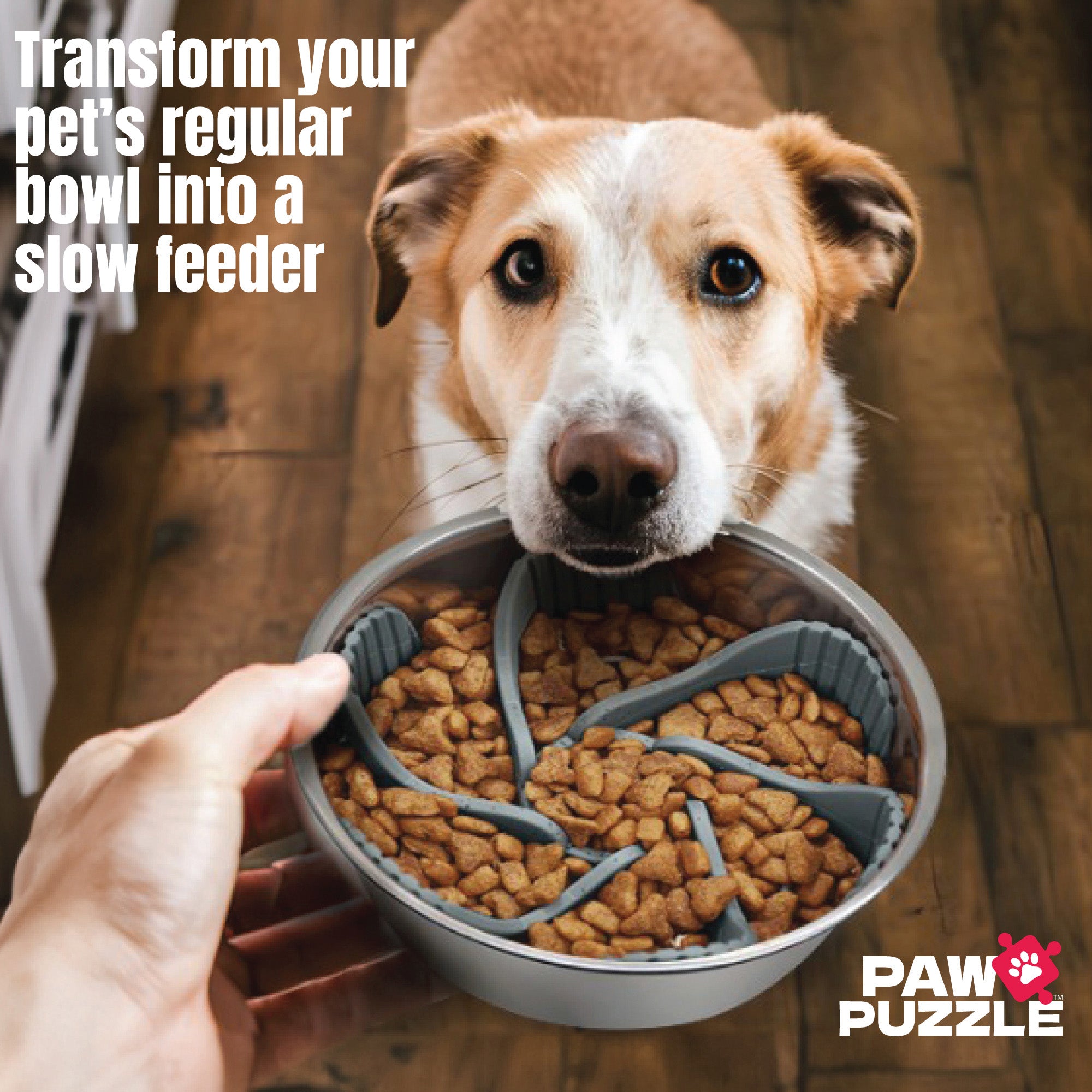 Paw Puzzle Dog Feeders Bowl Insert