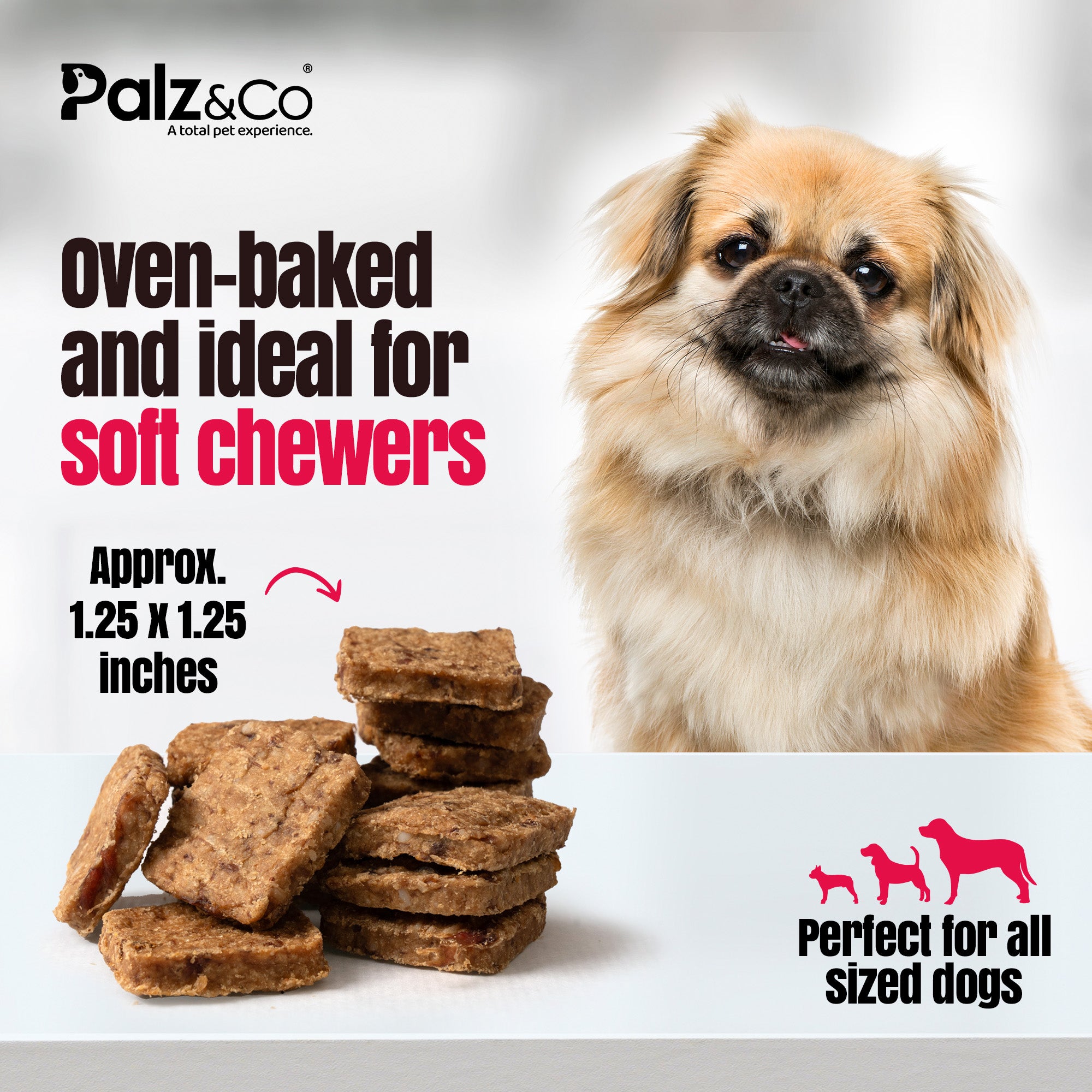 Birddog Chicken Bites Dog Treats, Grain-Free - 6 oz