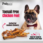Birddog Chicken Feet Dog Treats - Pack of 10 & 35