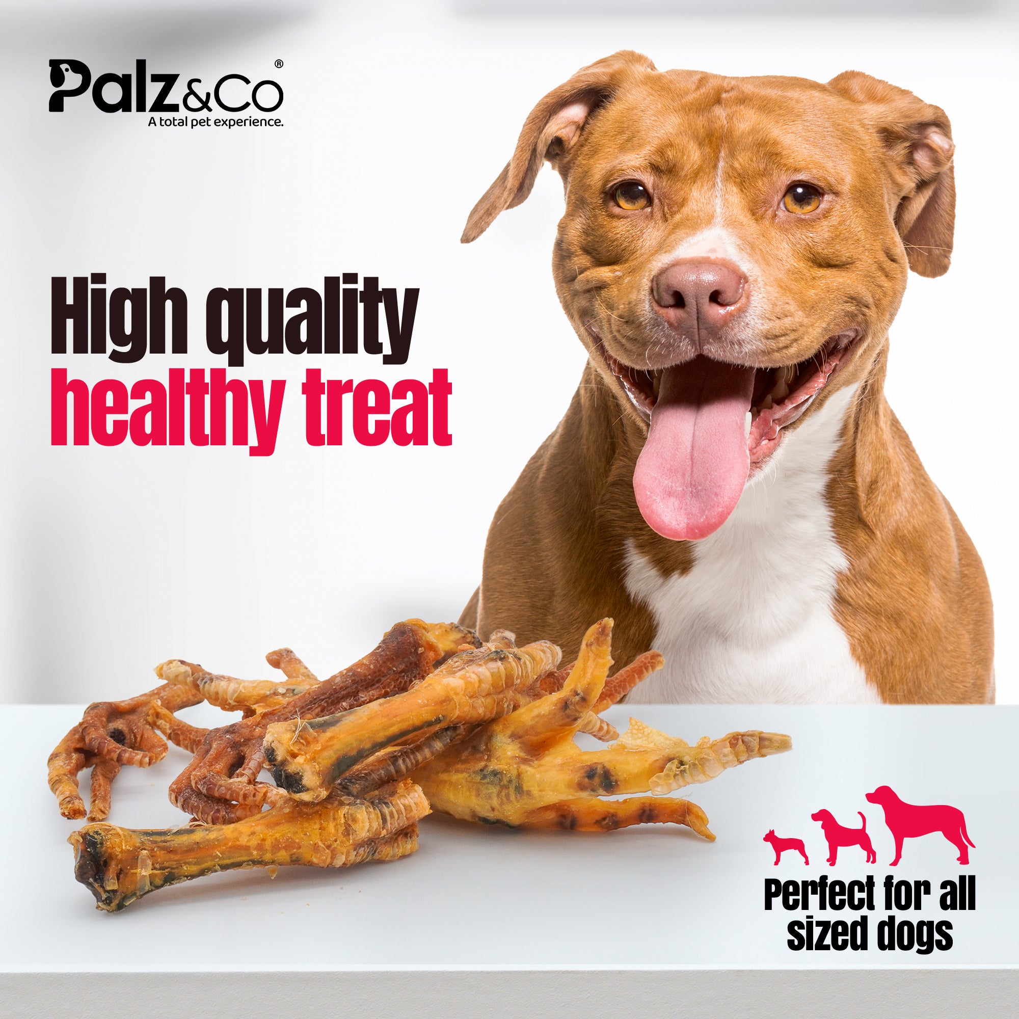 Birddog Chicken Feet (No Nails) - Pack of 60