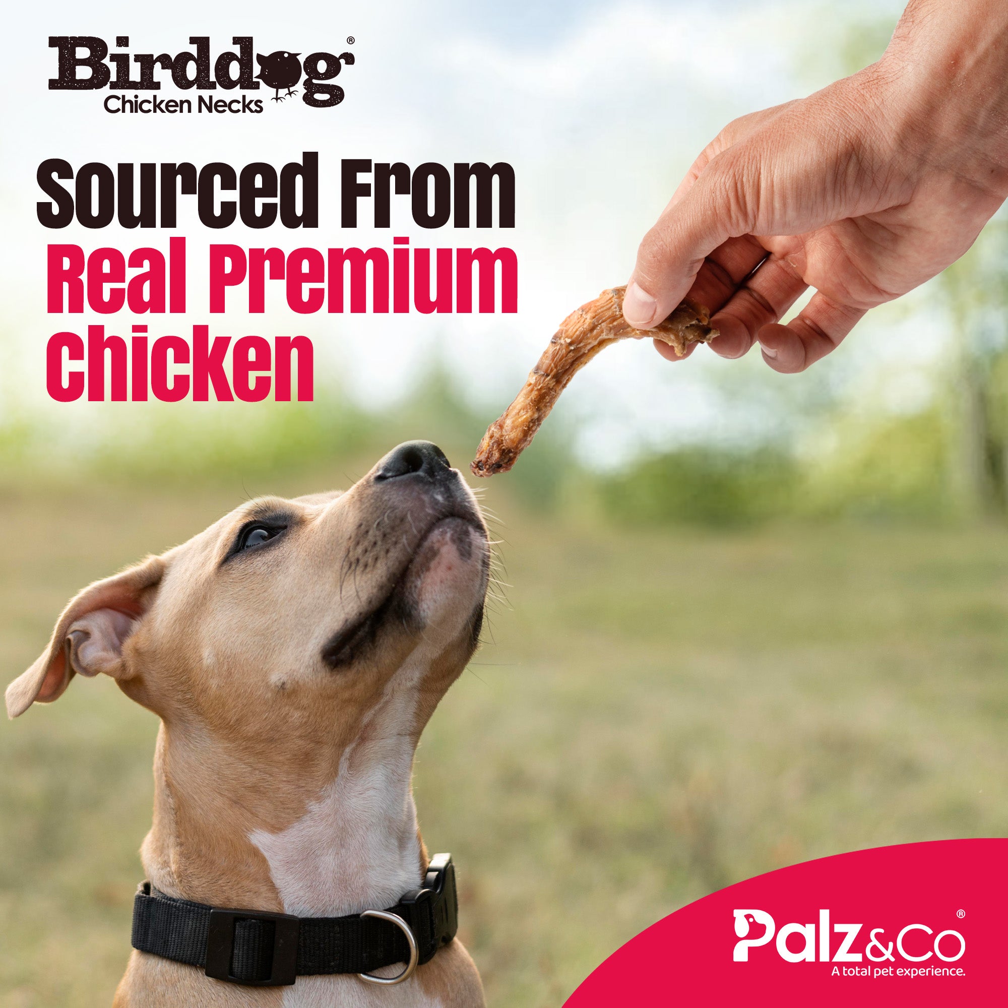 Birddog Chicken Necks - 3.5 oz (100g)