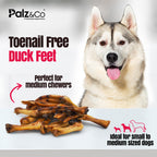 Birddog Duck Feet Chews (No Nails) - Pack of 10 & 35
