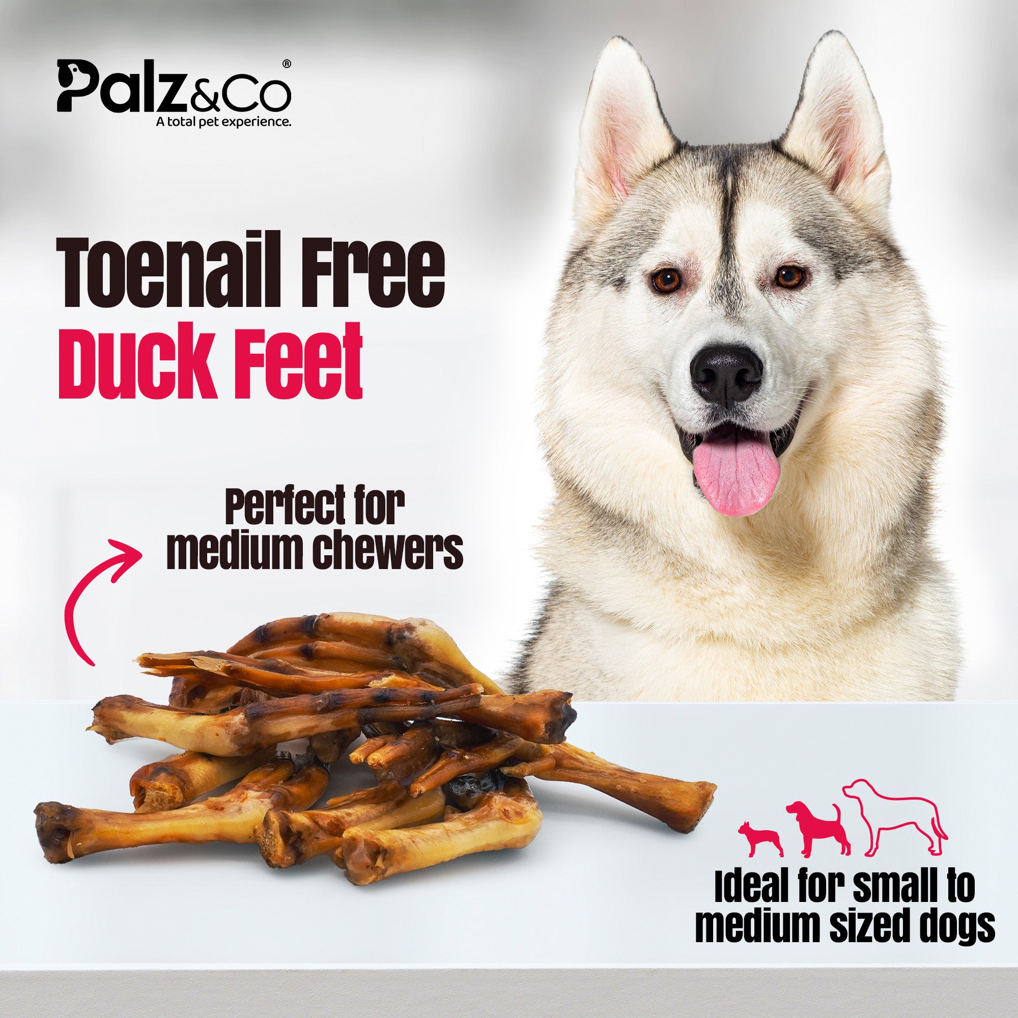 Birddog Duck Feet Chews (No Nails) - Pack of 10 & 35