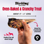 Birddog Duck Head - Pack of 20