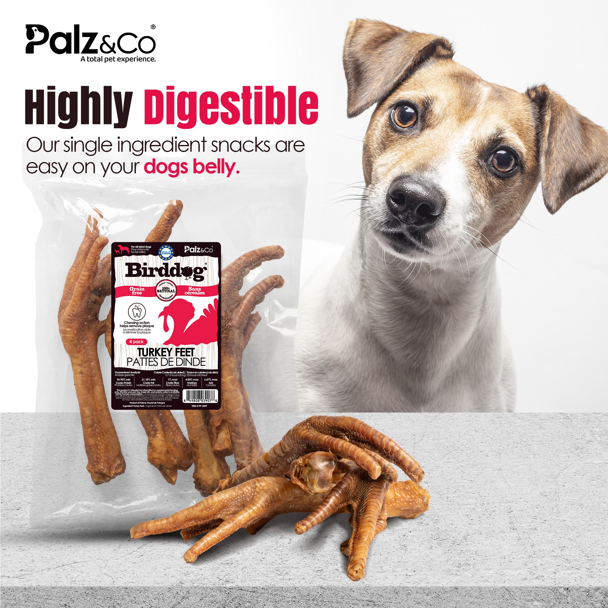 Birddog Turkey Feet - Pack of 4