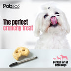 Hogdog Pig Nose Snouts - Pack of 40