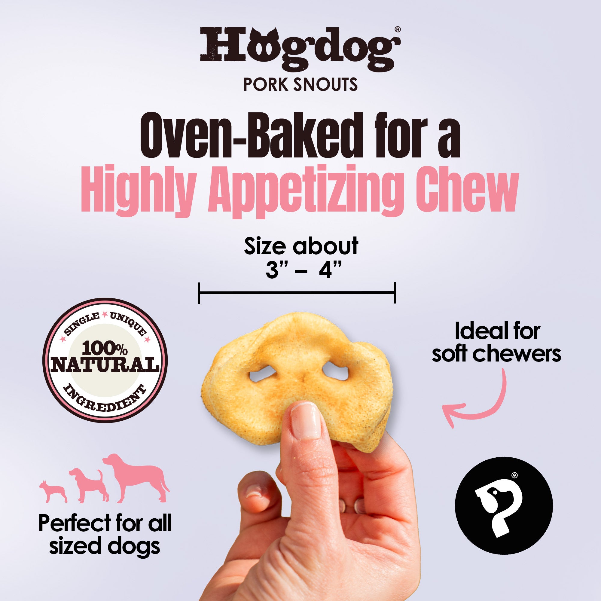 Hogdog Pork Snouts - Pack of 5