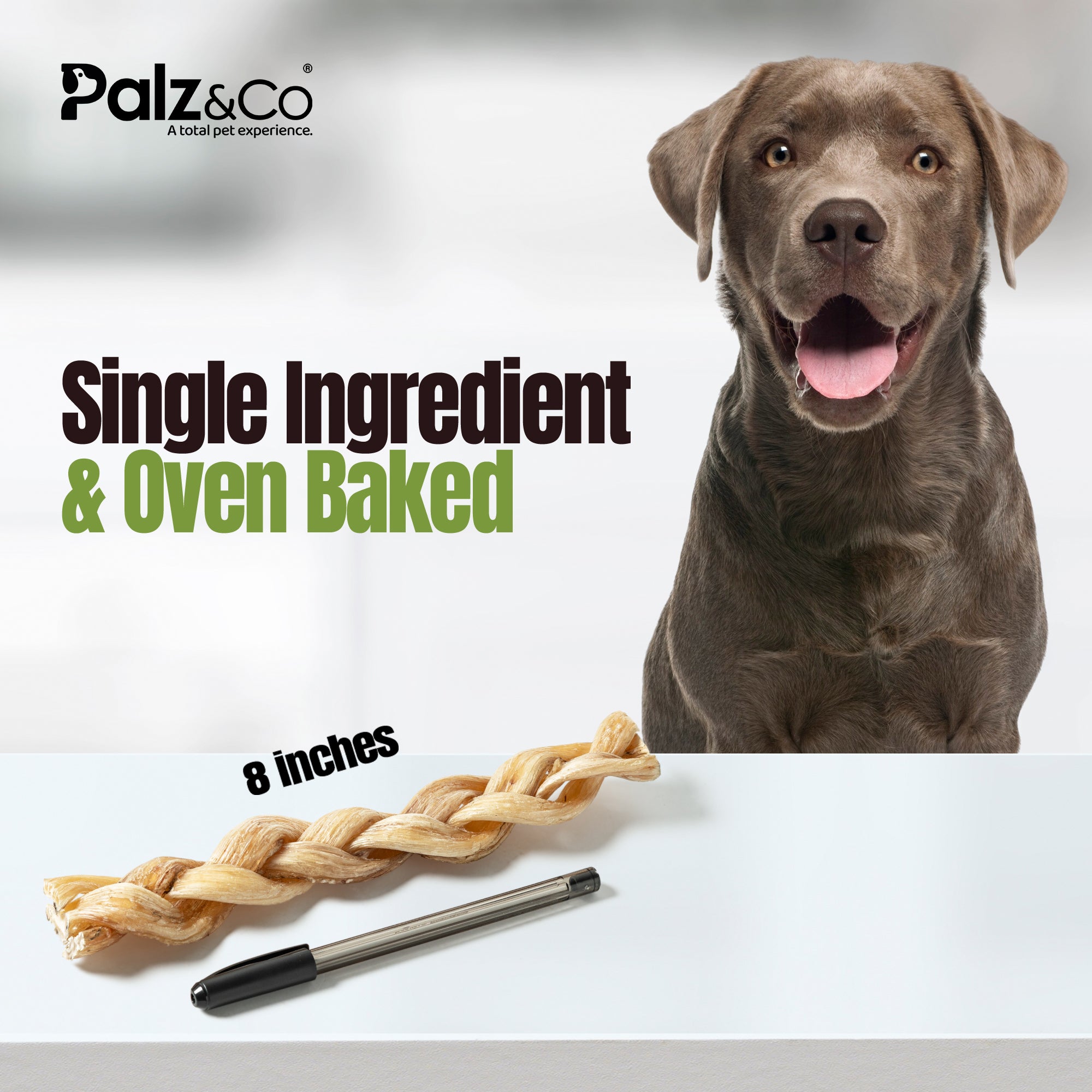 Moodog Braided Beef Tendon 8" - Pack of 2
