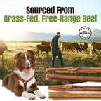 Moodog Beef Standard Bully Sticks 6" & 12" - Pack of 25