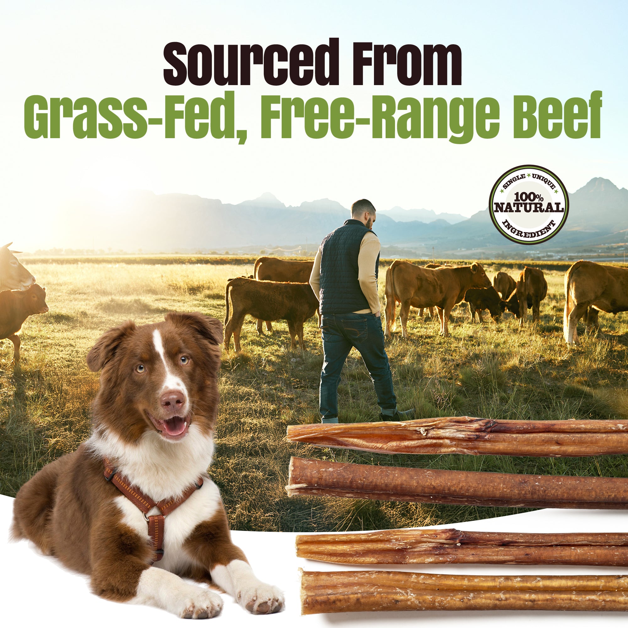 Moodog Beef Standard Bully Sticks 6" & 12" - Pack of 25