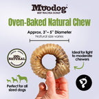Moodog Trachea Donut - Pack of 1