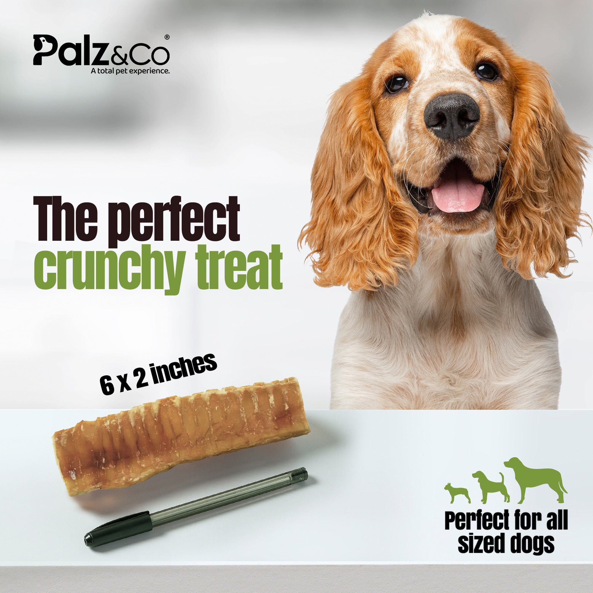 Moodog Beef Trachea Flat 6x2" - Pack of 4