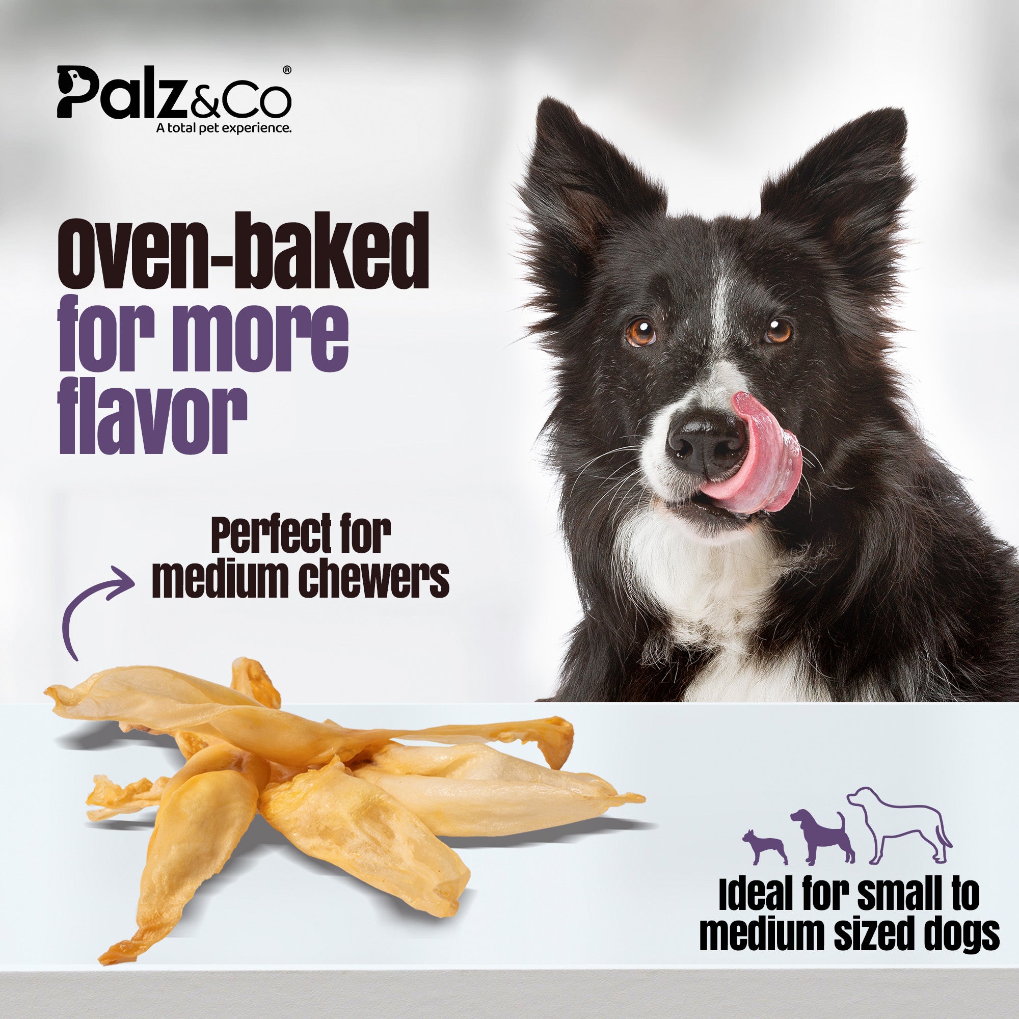 Rabbitdog Rabbit Ears (Without Fur) - Pack of 10, 15, & 25
