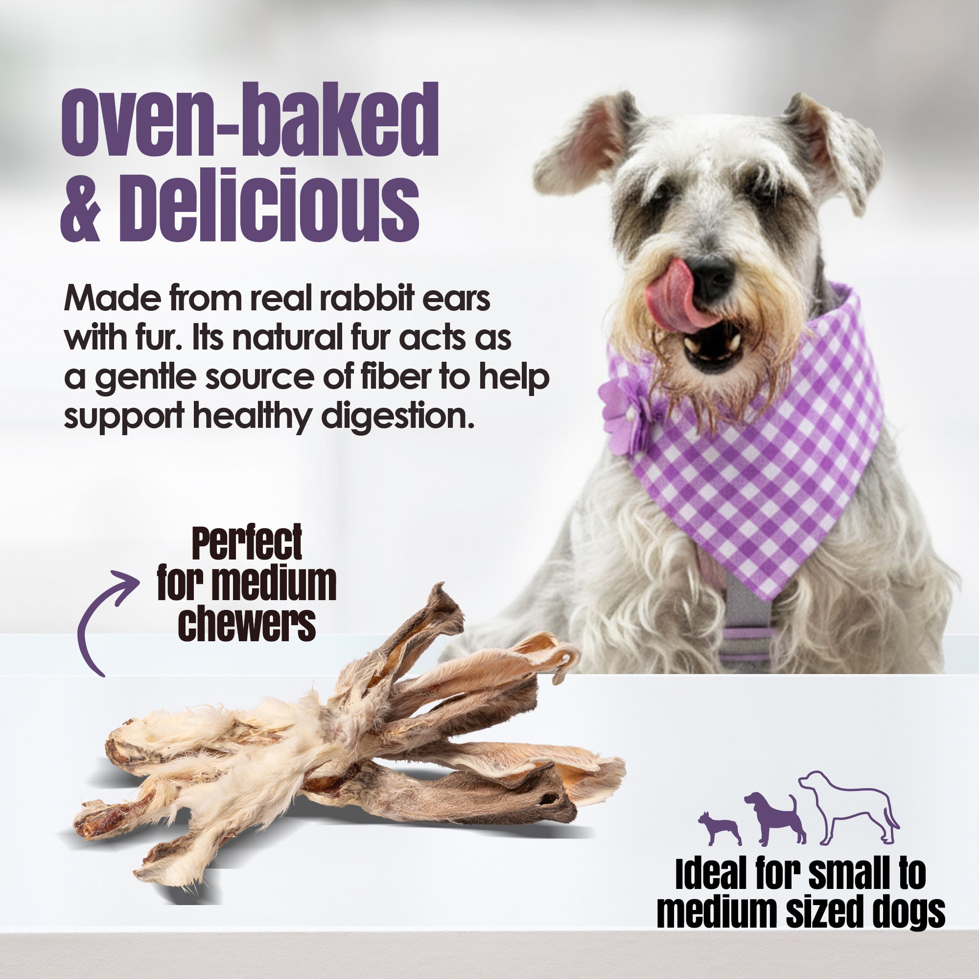 Rabbitdog Rabbit Ears (With Fur) - Pack of 10, 15, & 25