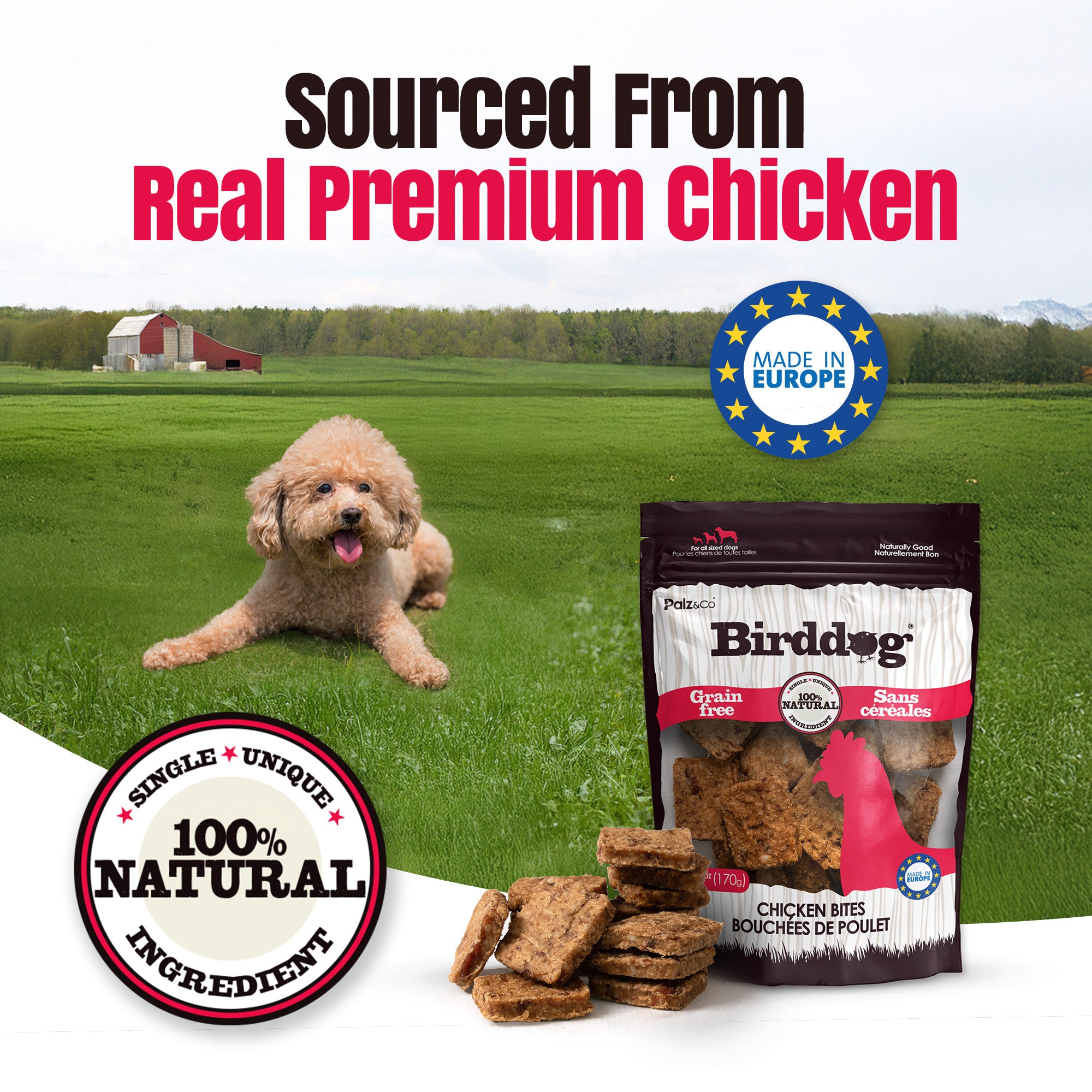 Birddog Chicken Bites Dog Treats, Grain-Free - 6 oz