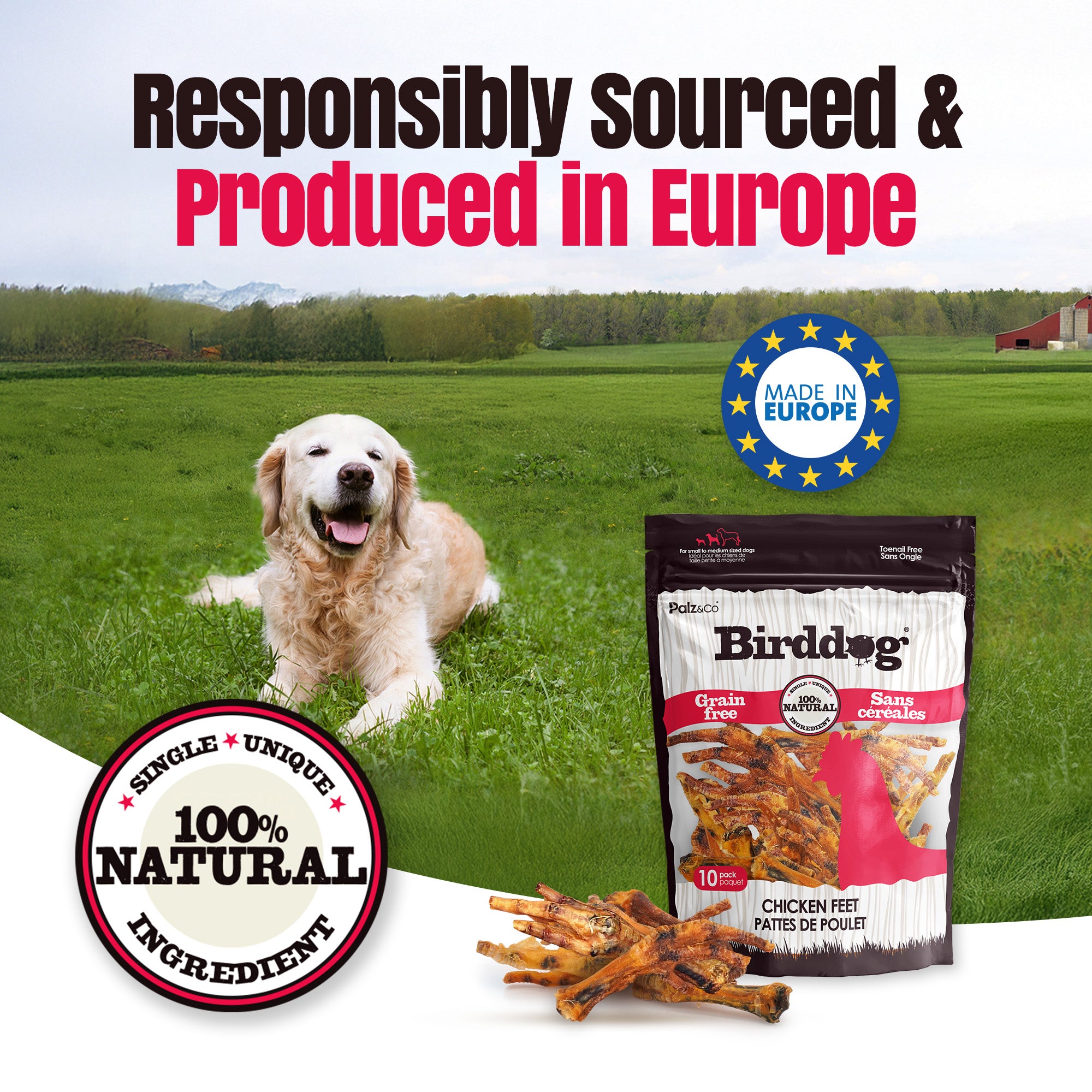 Birddog Chicken Feet Dog Treats - Pack of 10 & 35
