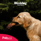 Birddog Duck Head - Pack of 20