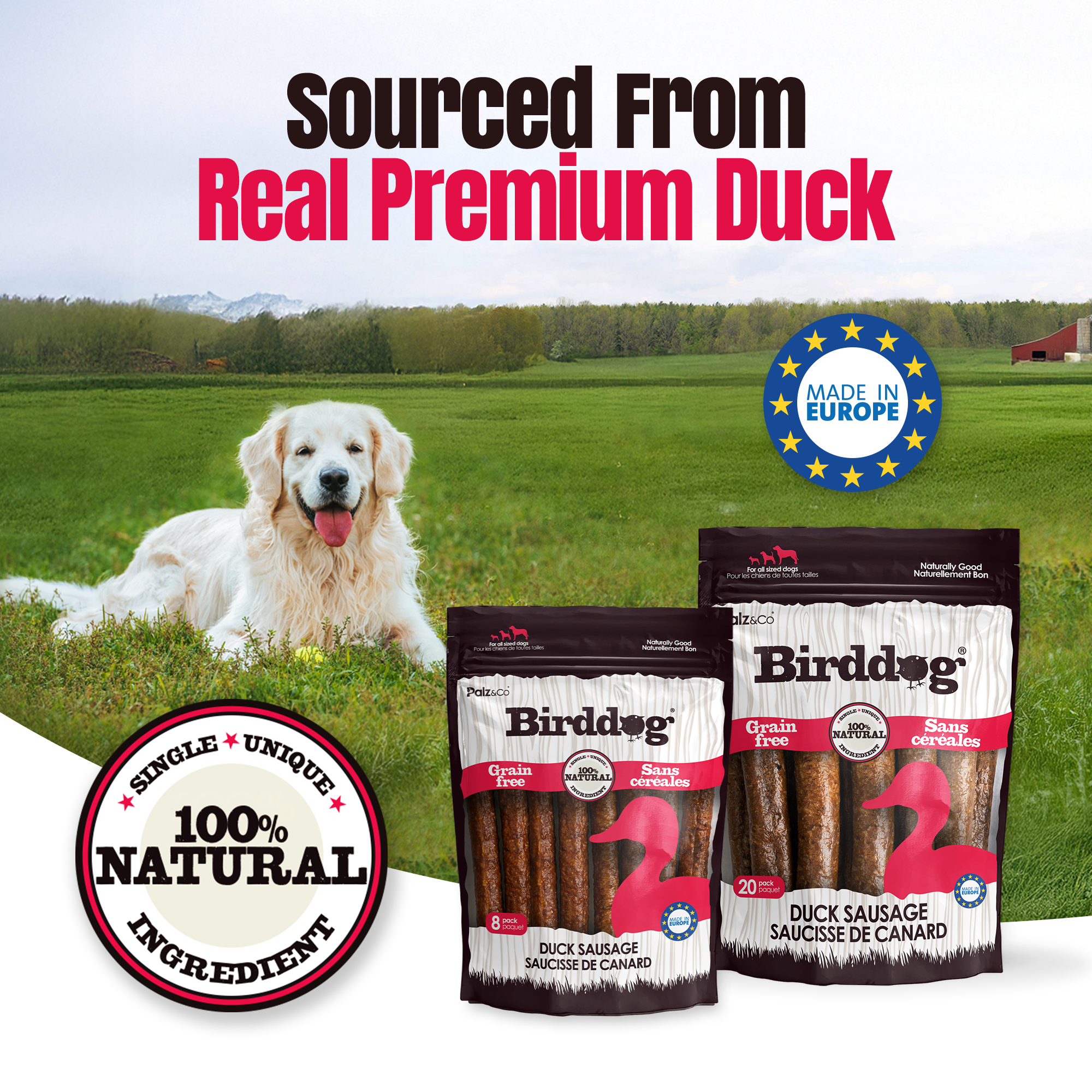 Birddog Duck Sausage Dog Treats - Pack of 8 & 20