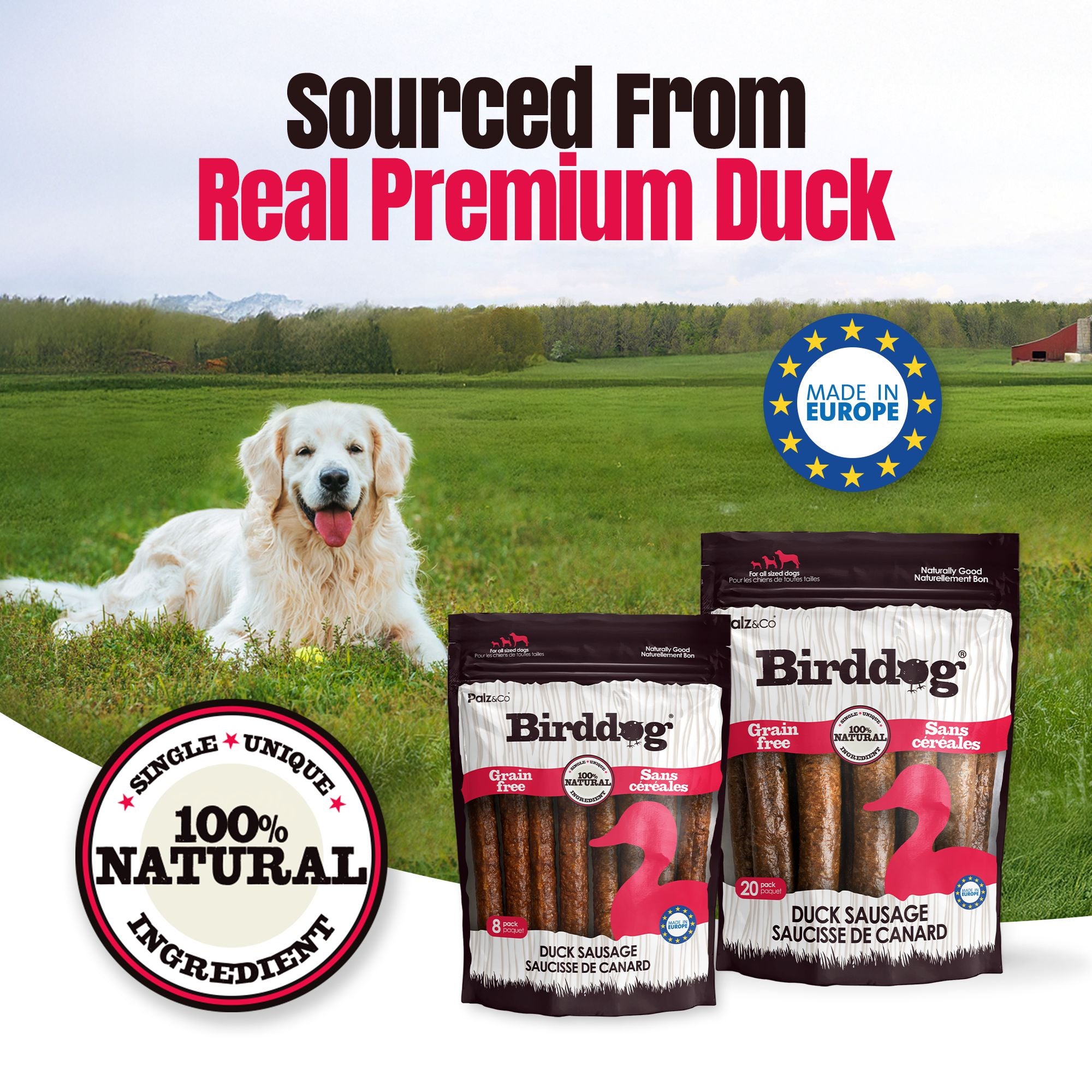 Birddog Duck Sausage Dog Treats - Pack of 8 & 20