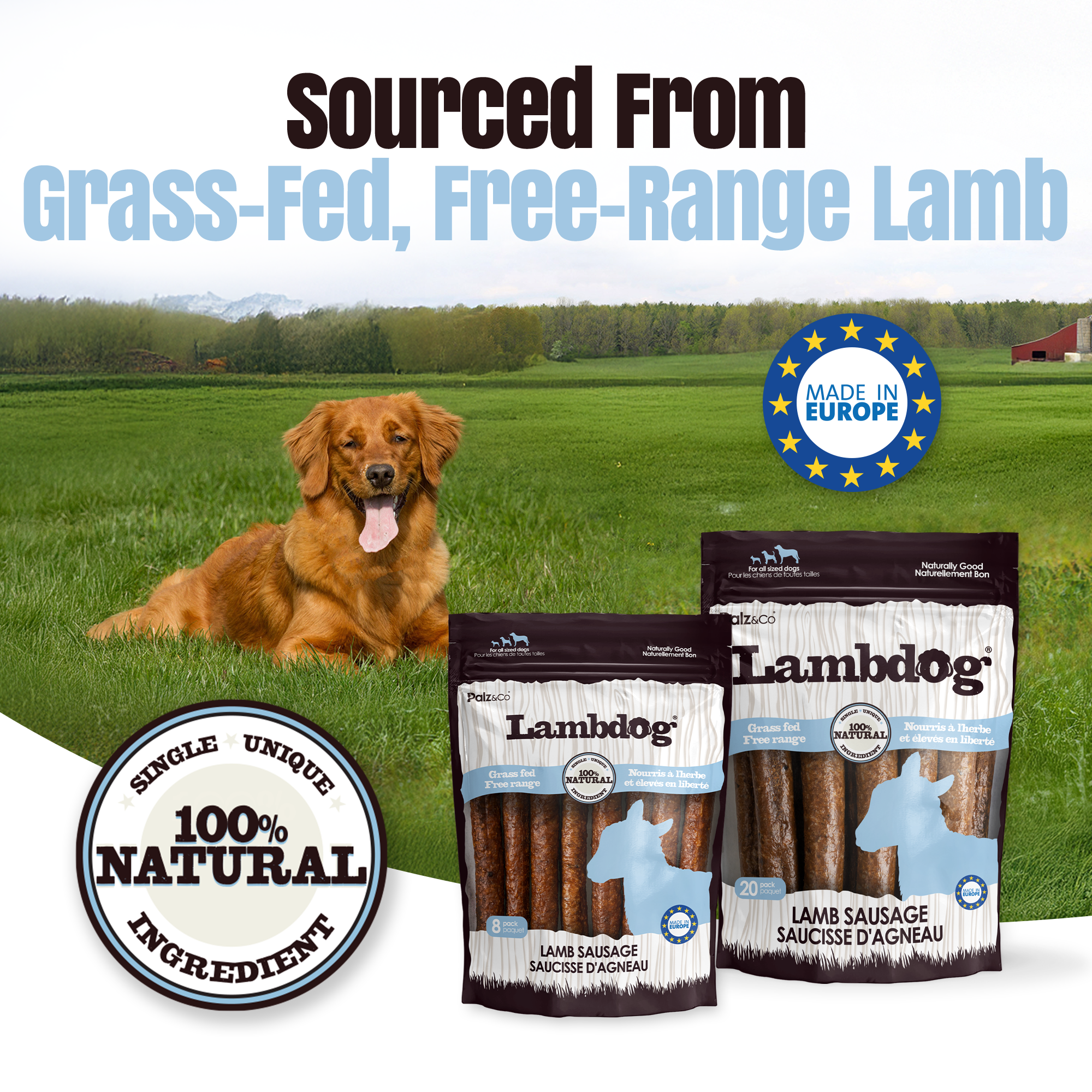 Lambdog Lamb Sausage Dog Treats - Pack of 8 & 20