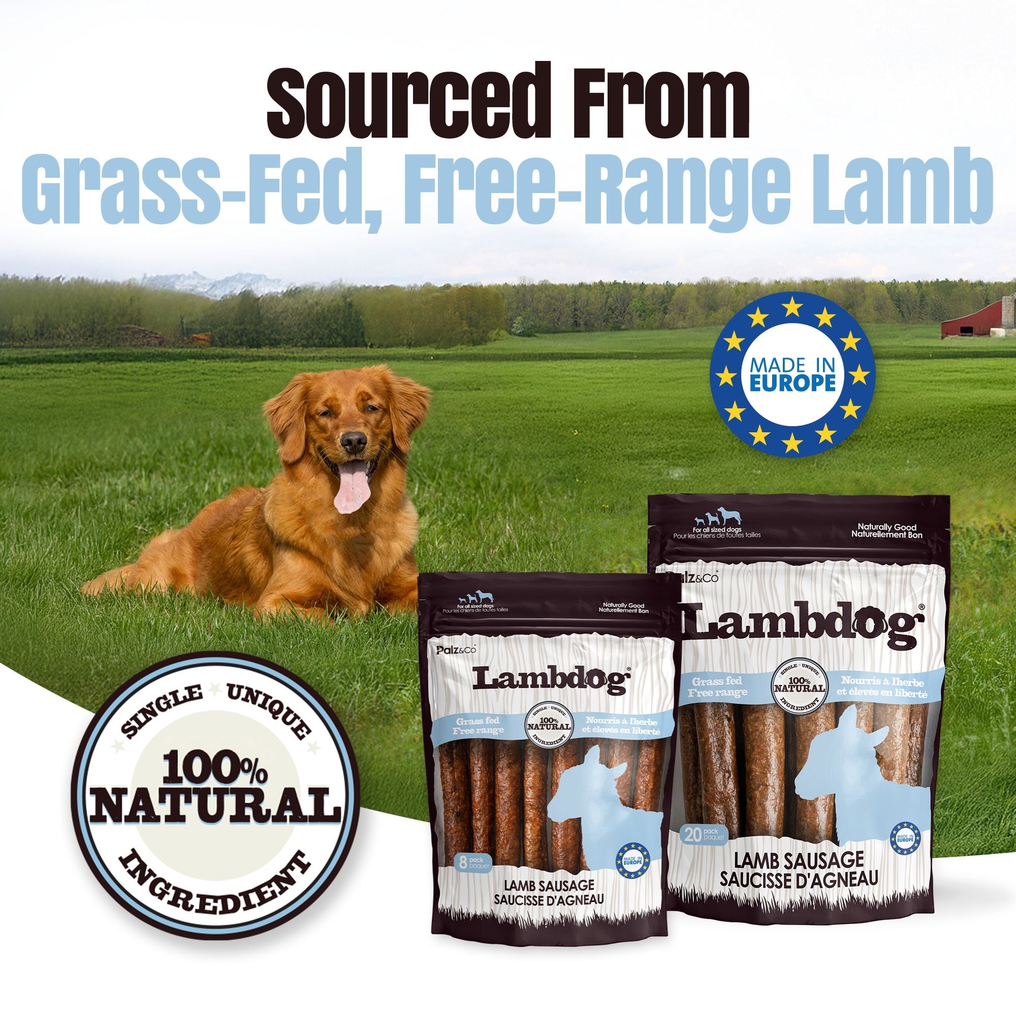 Lambdog Lamb Sausage Dog Treats - Pack of 8 & 20