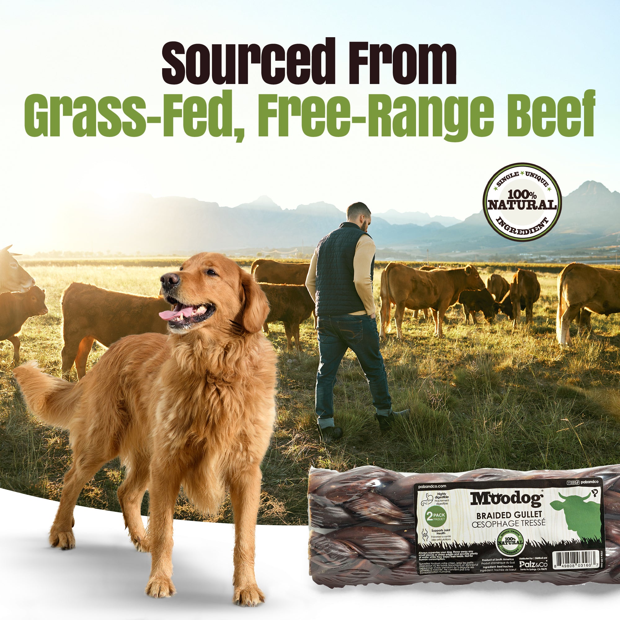 MooDog Beef Braided Gullet 8" - Pack of 2