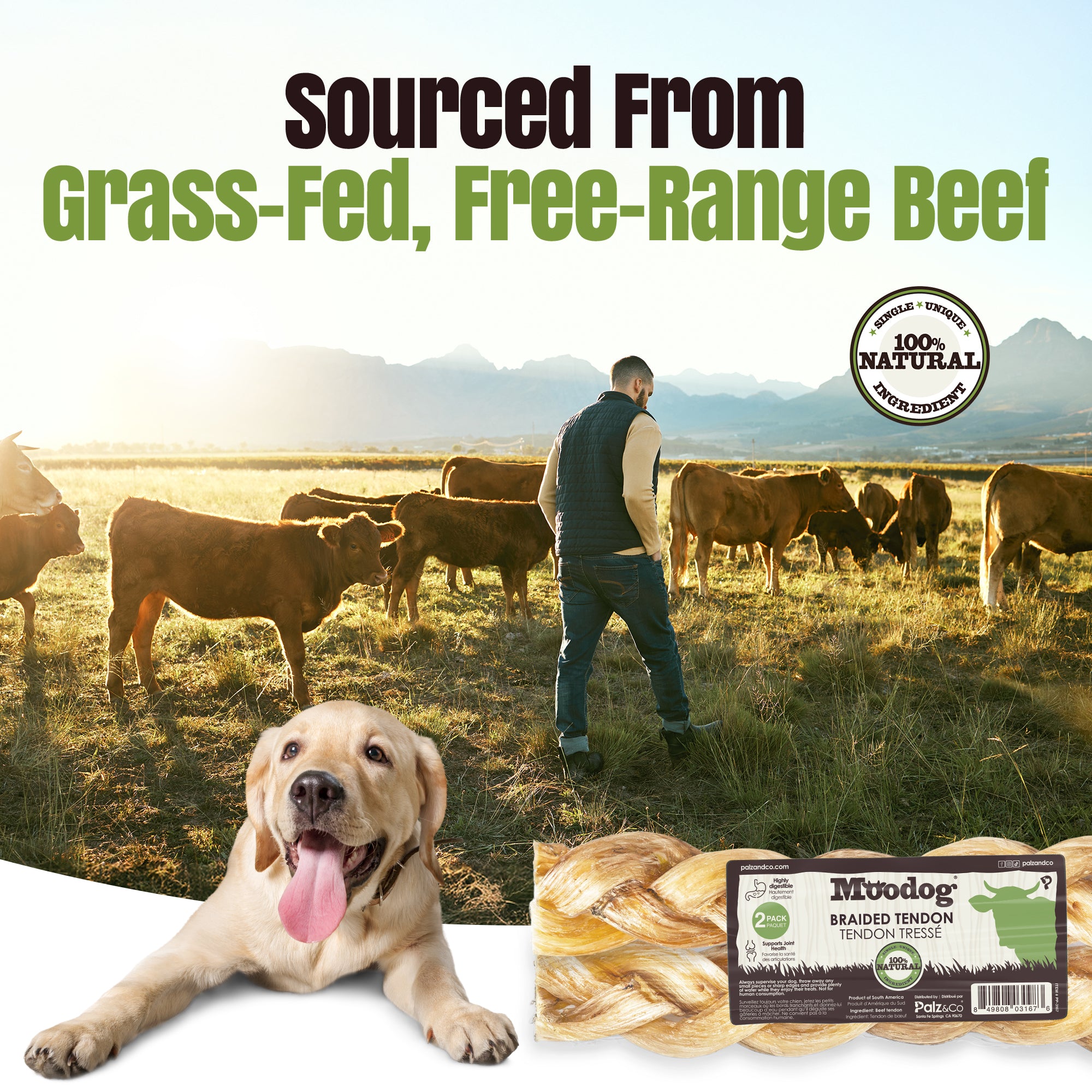 Moodog Braided Beef Tendon 8" - Pack of 2