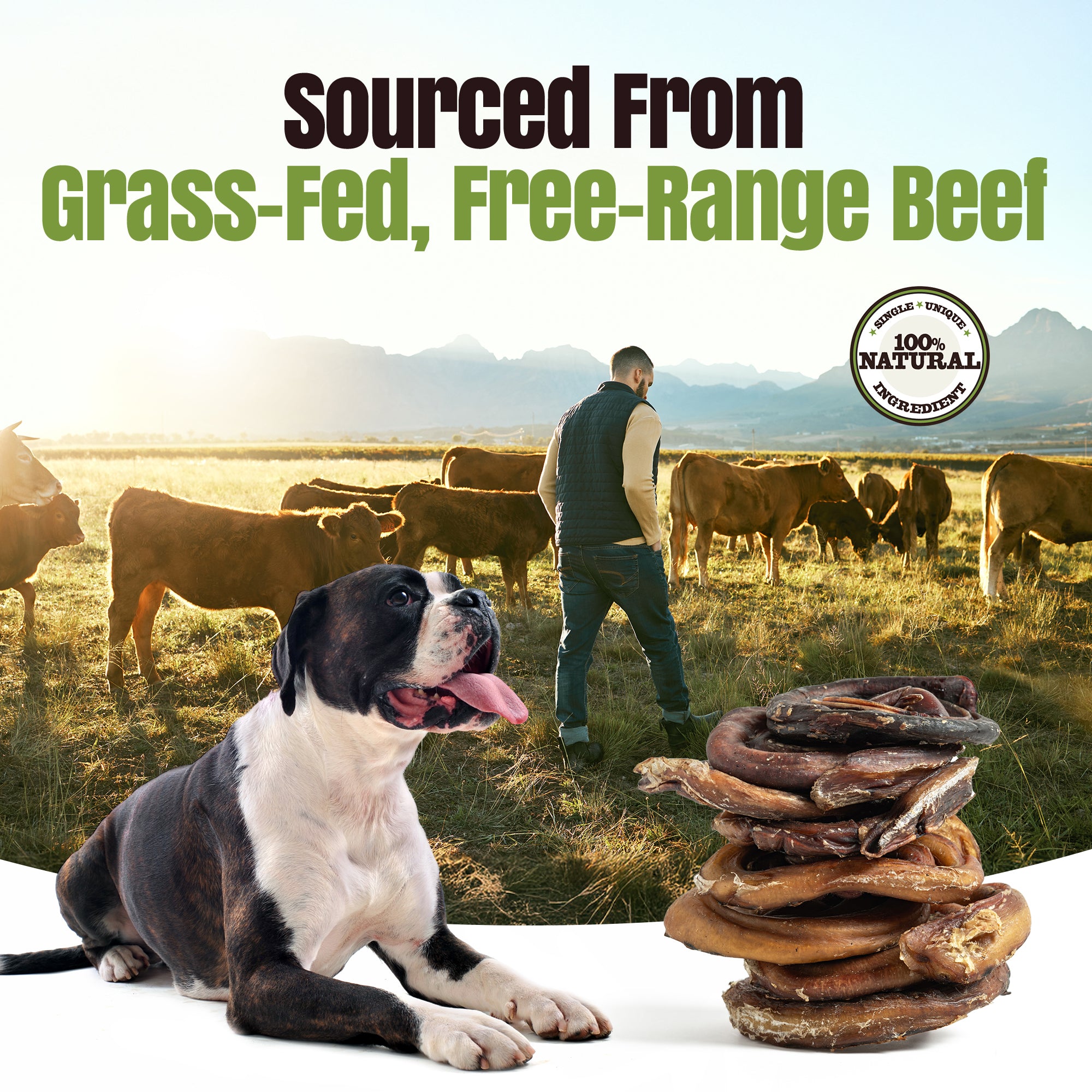 Moodog Beef Bully Bun Caps - Pack of 25