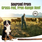 Moodog Beef Cane Bully Stick - Mega 35"