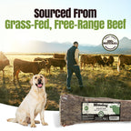 Moodog Flat Beef Gullet 8" - Pack of 5