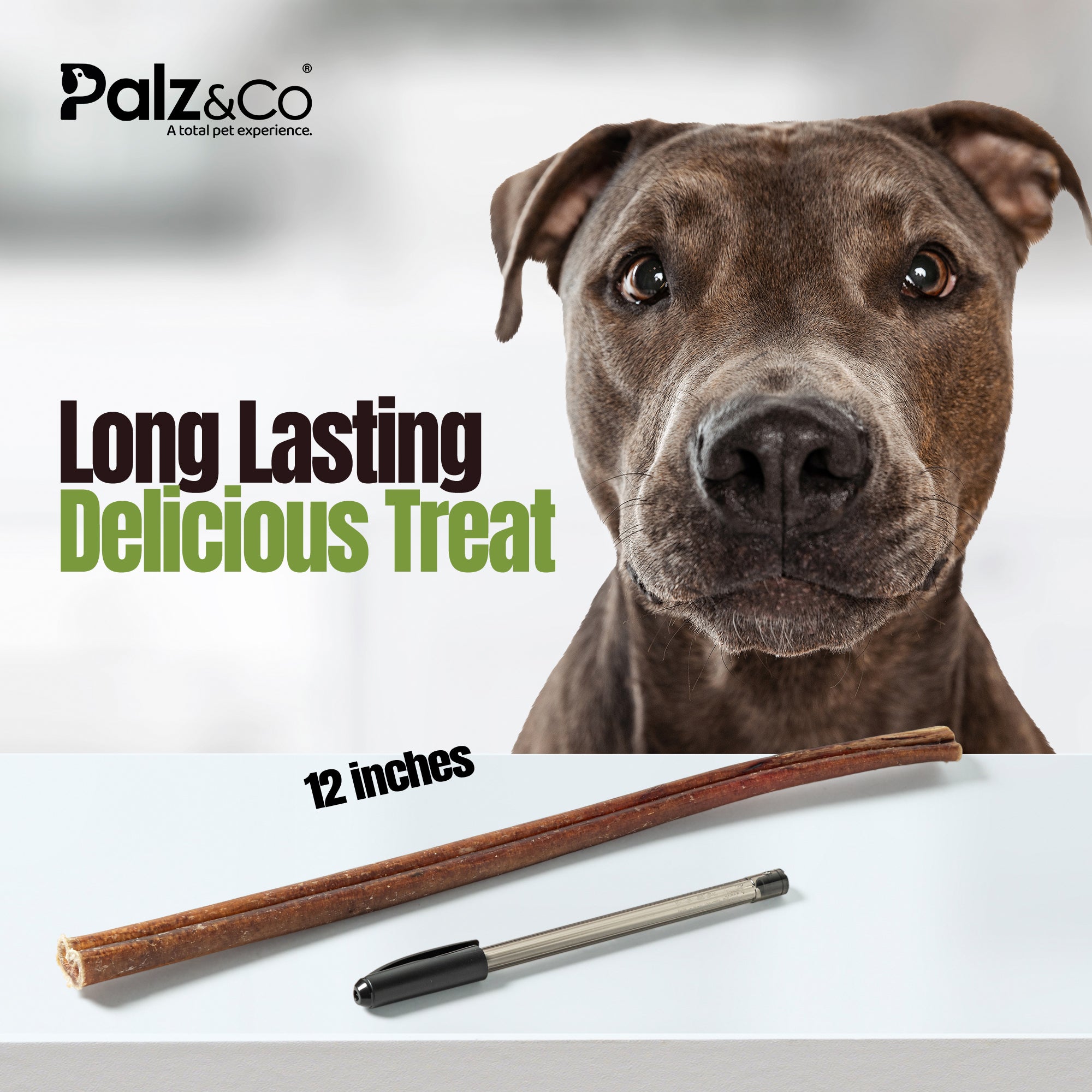 Moodog Beef Standard Bully Sticks 6" & 12" - Pack of 25