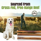 Moodog Beef Thick Bully Sticks 6" & 12" - Pack of 25