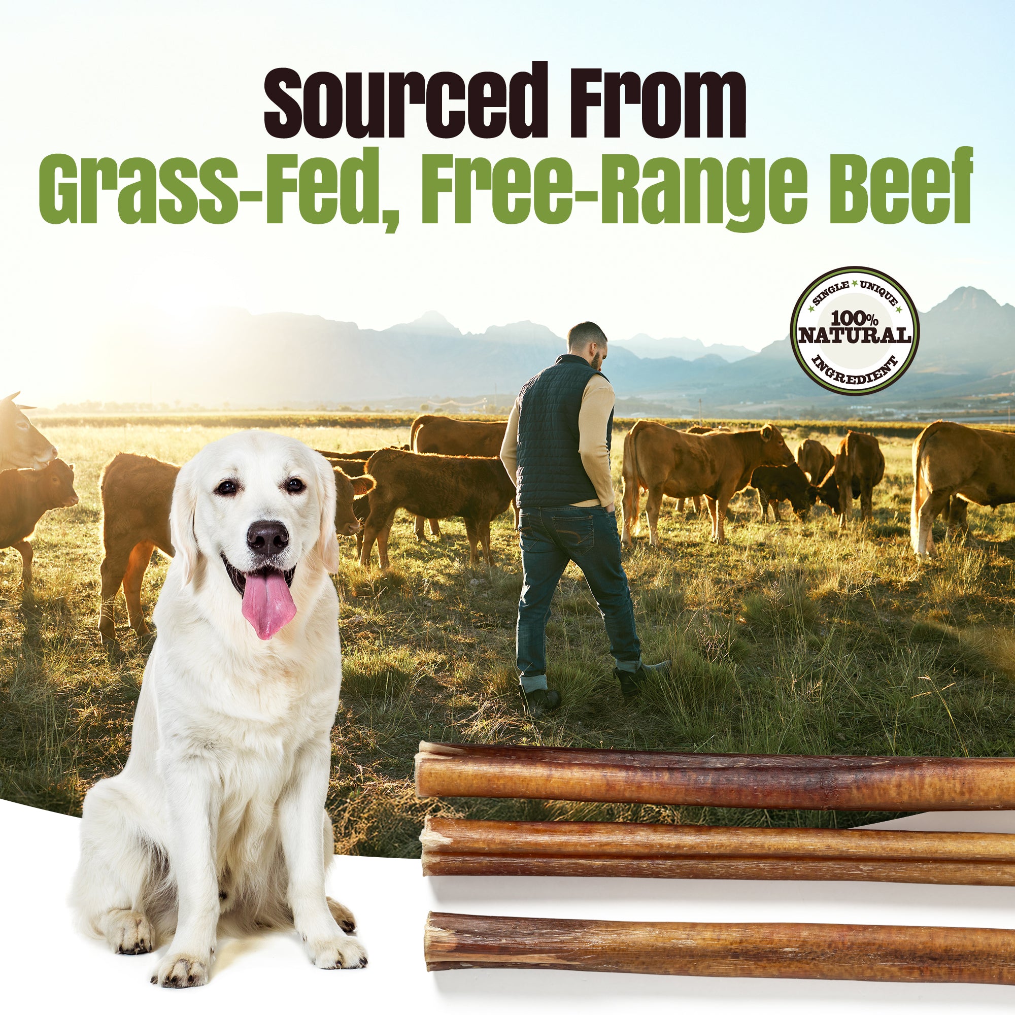 Moodog Beef Thick Bully Sticks 6" & 12" - Pack of 25
