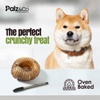 Moodog Trachea Donut - Pack of 1