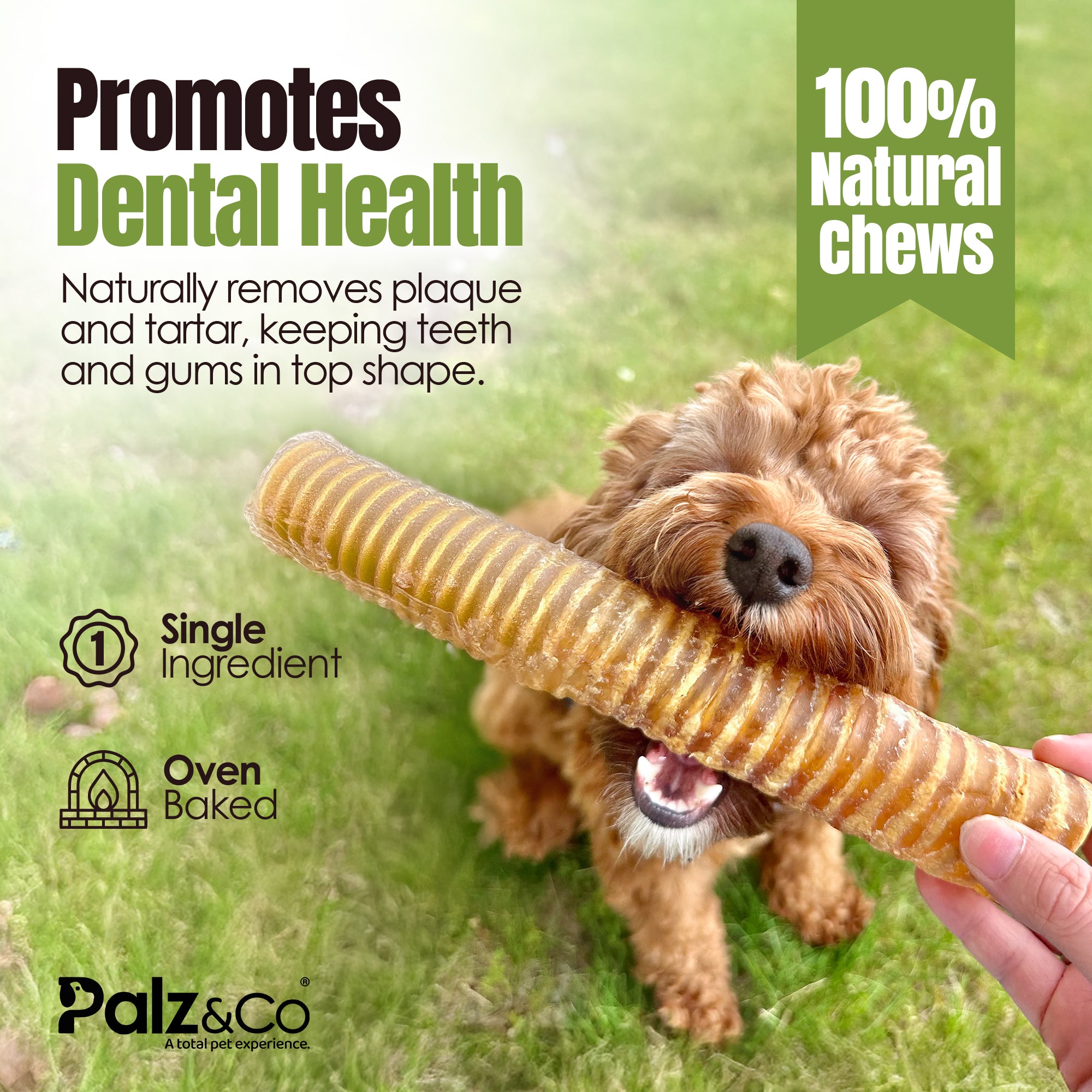 Moodog Beef Trachea Tubes - Pack of 2